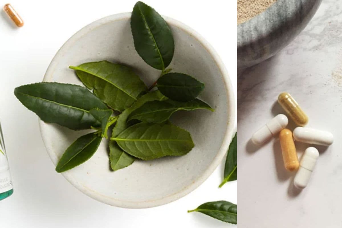 Suplementos naturales Tegreen y R2 Día/Noche